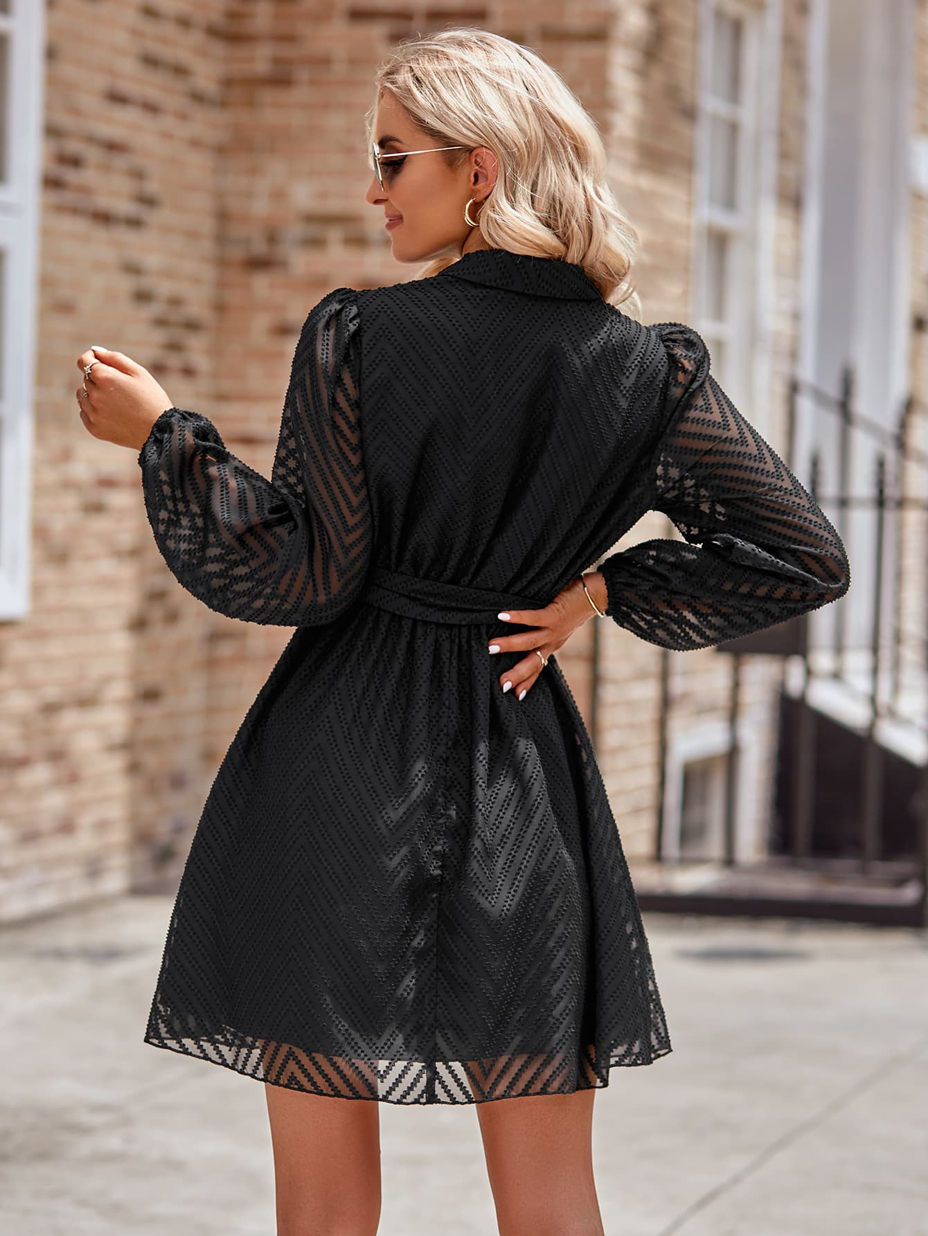 Belted Surplice Neck Long Sleeve Mini Dress